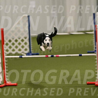 Ice-Jennifer-Walsh-07399