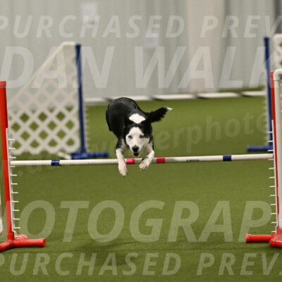 Ice-Jennifer-Walsh-07400