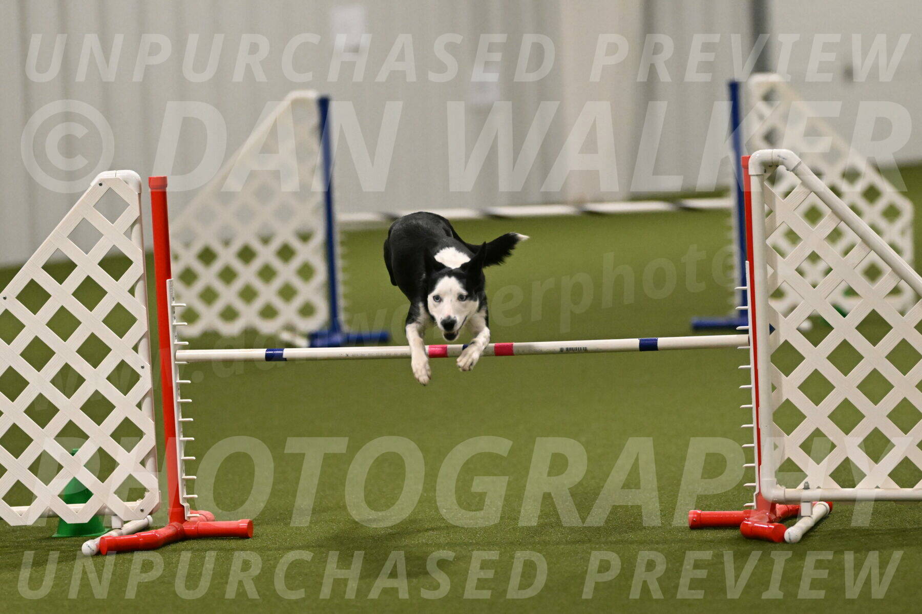 Ice-Jennifer-Walsh-07400