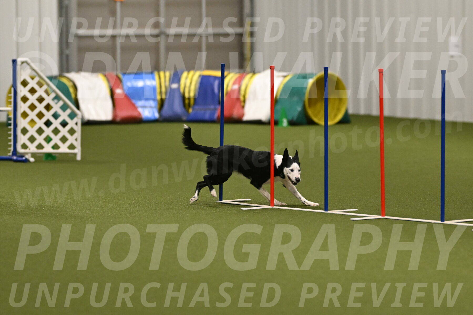 Ice-Jennifer-Walsh-07401