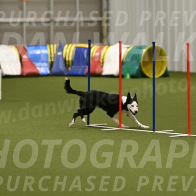 Ice-Jennifer-Walsh-07401