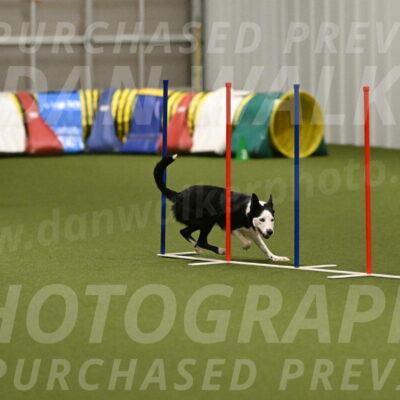 Ice-Jennifer-Walsh-07402