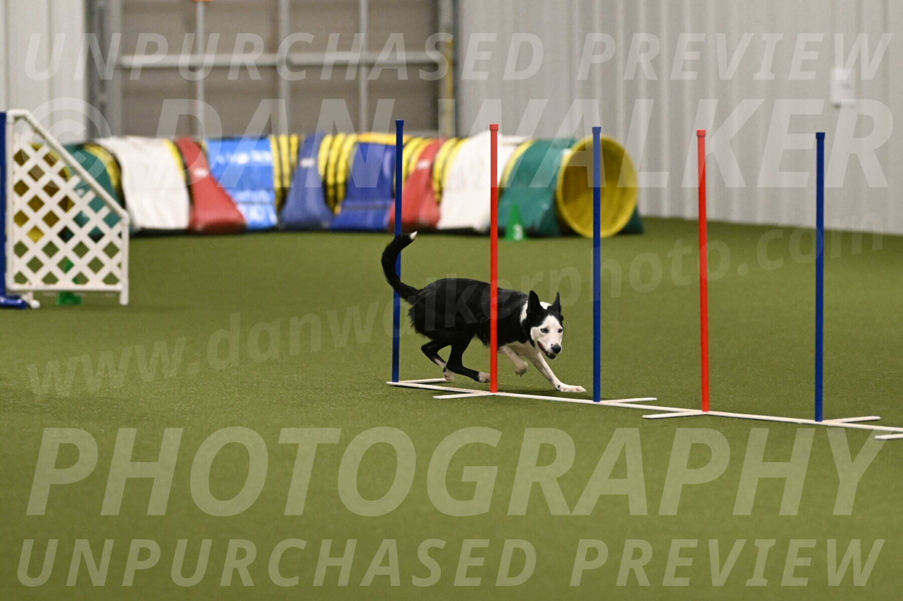 Ice-Jennifer-Walsh-07402