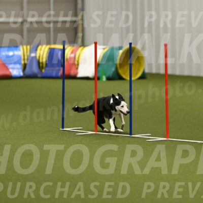 Ice-Jennifer-Walsh-07403