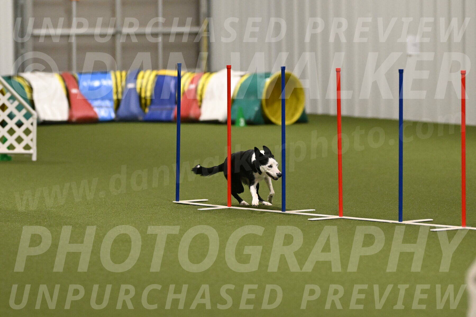 Ice-Jennifer-Walsh-07403