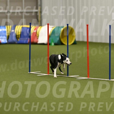 Ice-Jennifer-Walsh-07404