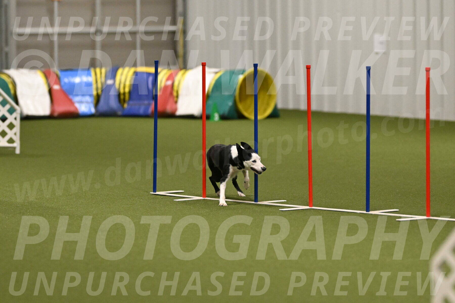 Ice-Jennifer-Walsh-07404