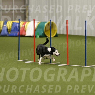 Ice-Jennifer-Walsh-07405