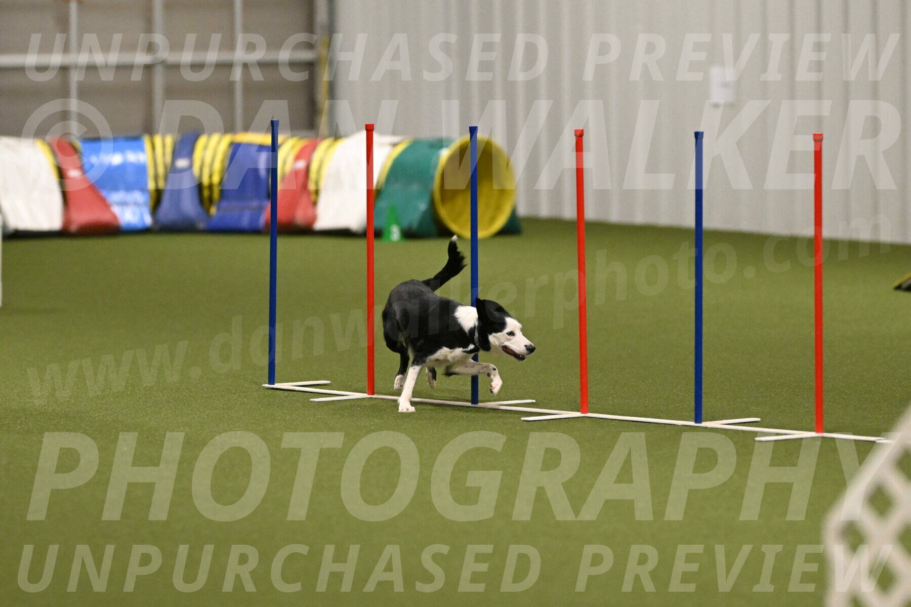 Ice-Jennifer-Walsh-07405