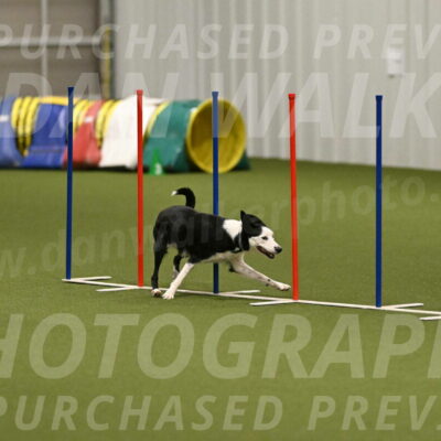 Ice-Jennifer-Walsh-07406