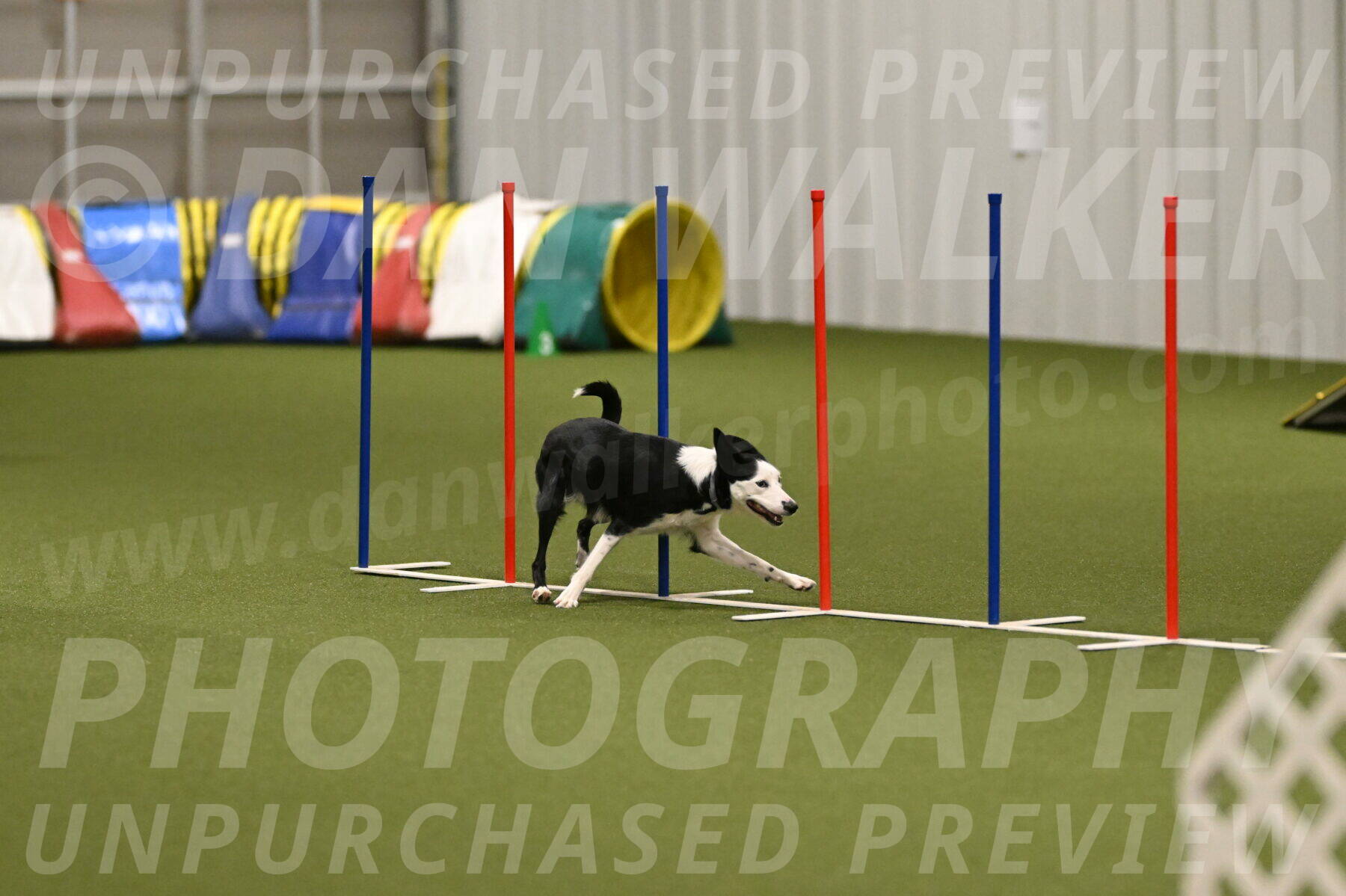 Ice-Jennifer-Walsh-07406