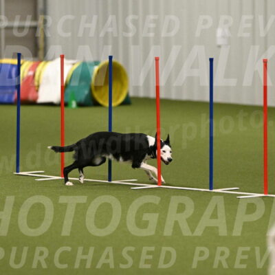 Ice-Jennifer-Walsh-07407