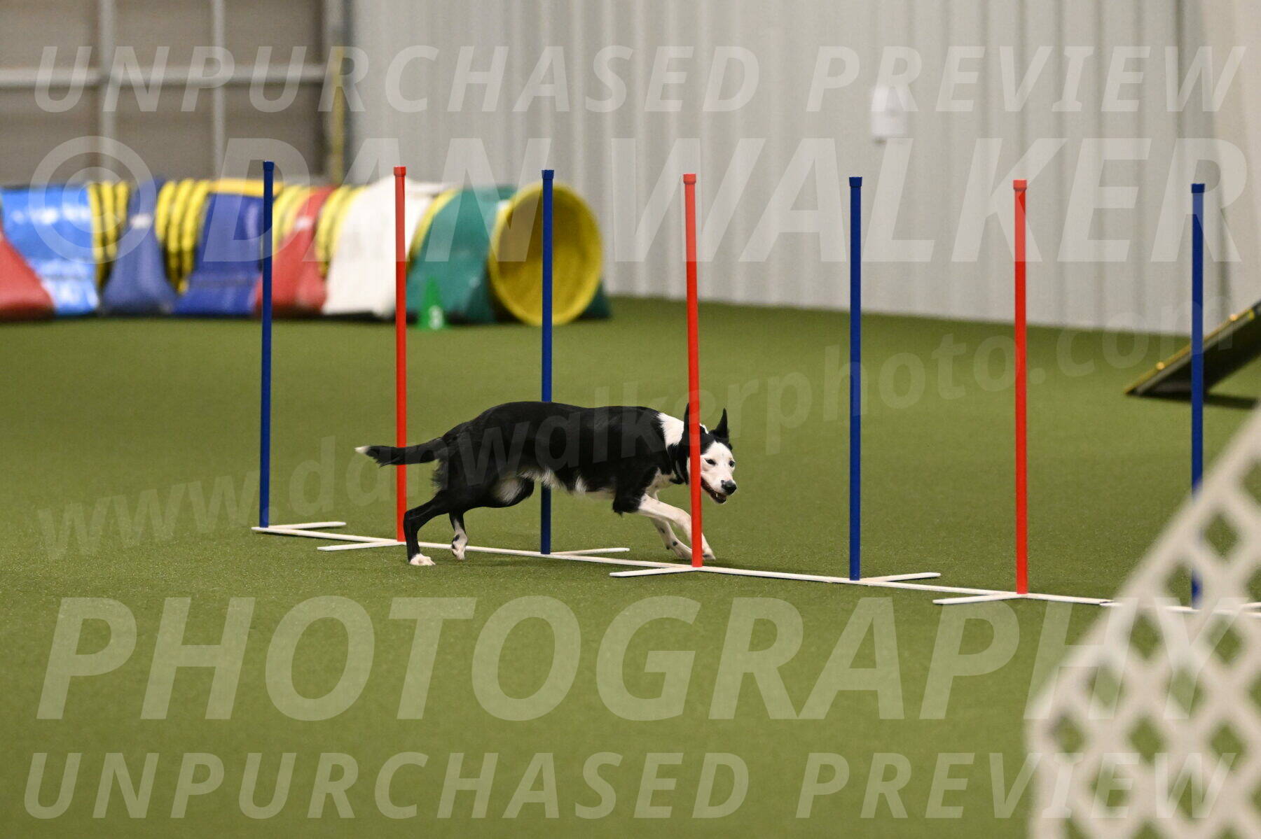 Ice-Jennifer-Walsh-07407