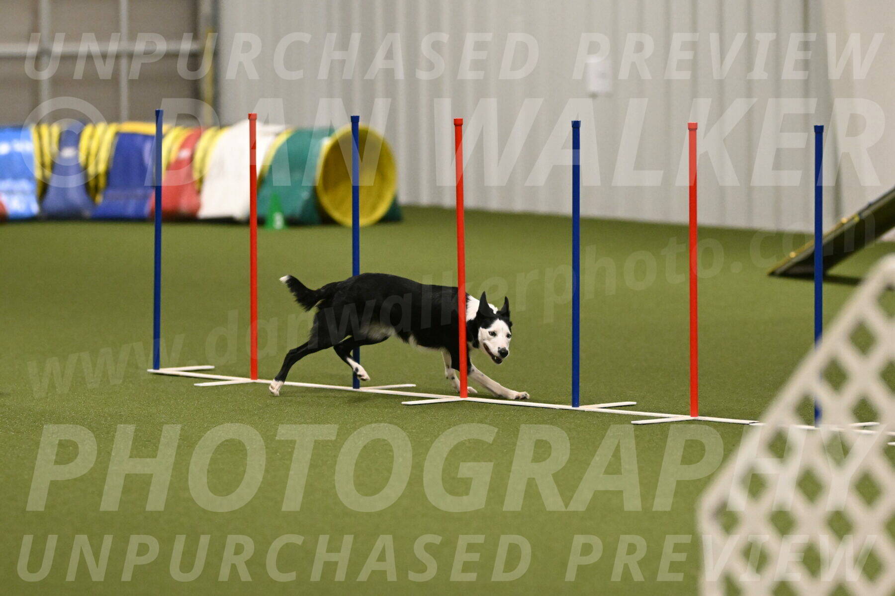 Ice-Jennifer-Walsh-07408