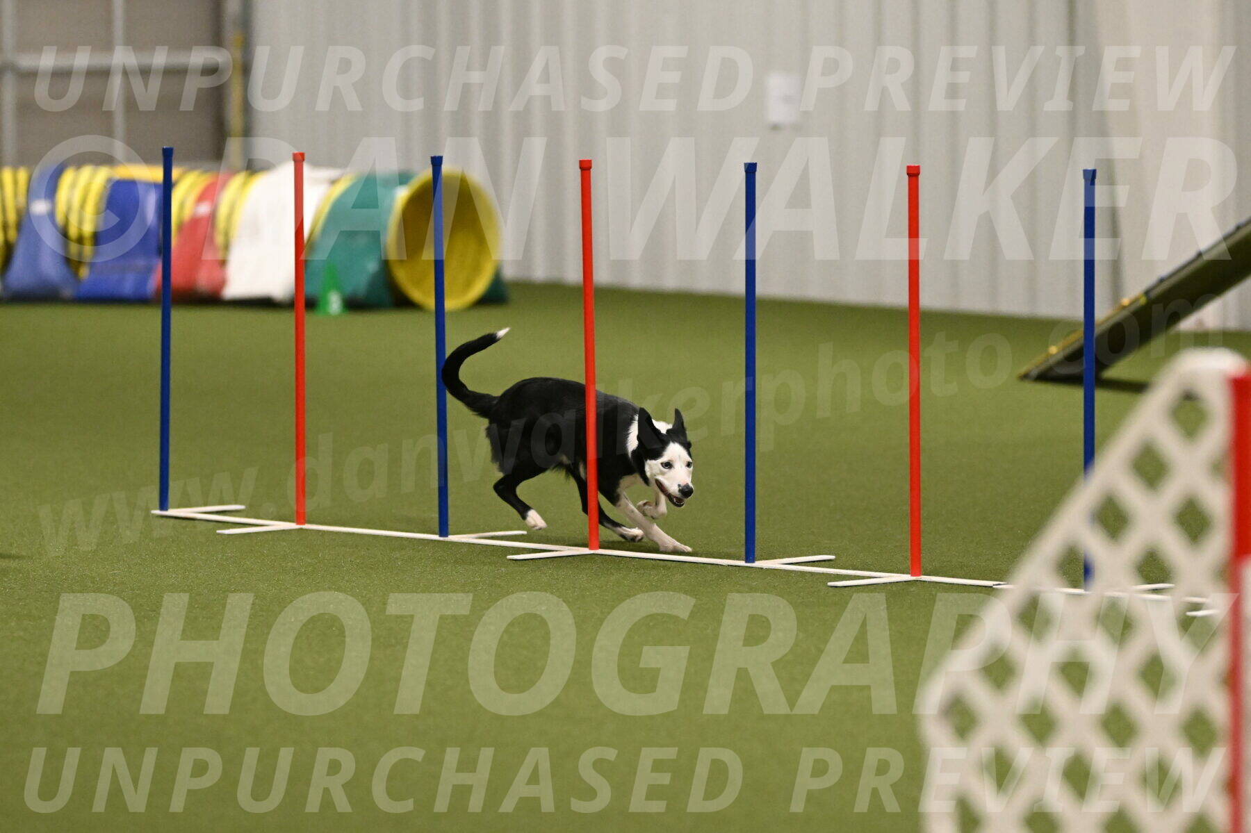 Ice-Jennifer-Walsh-07409