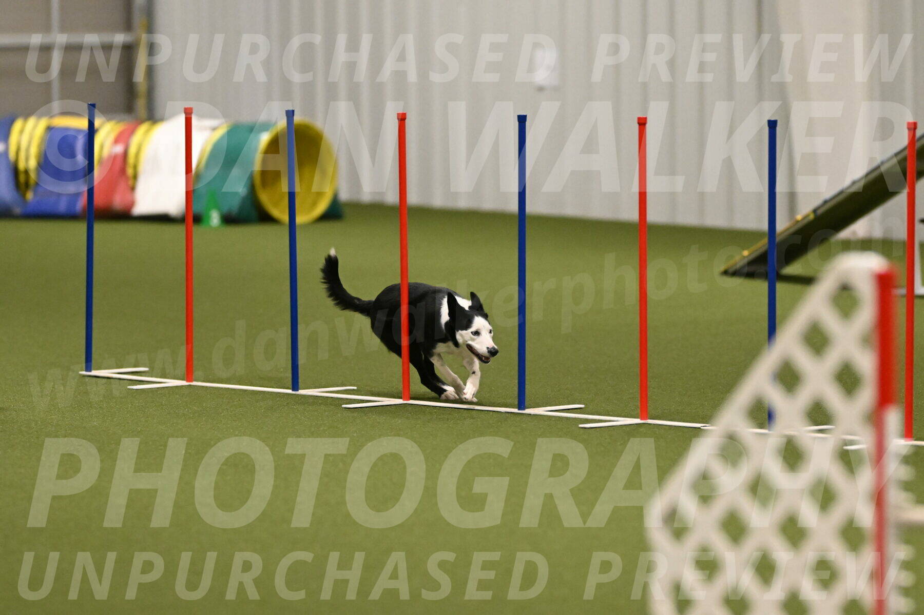 Ice-Jennifer-Walsh-07410