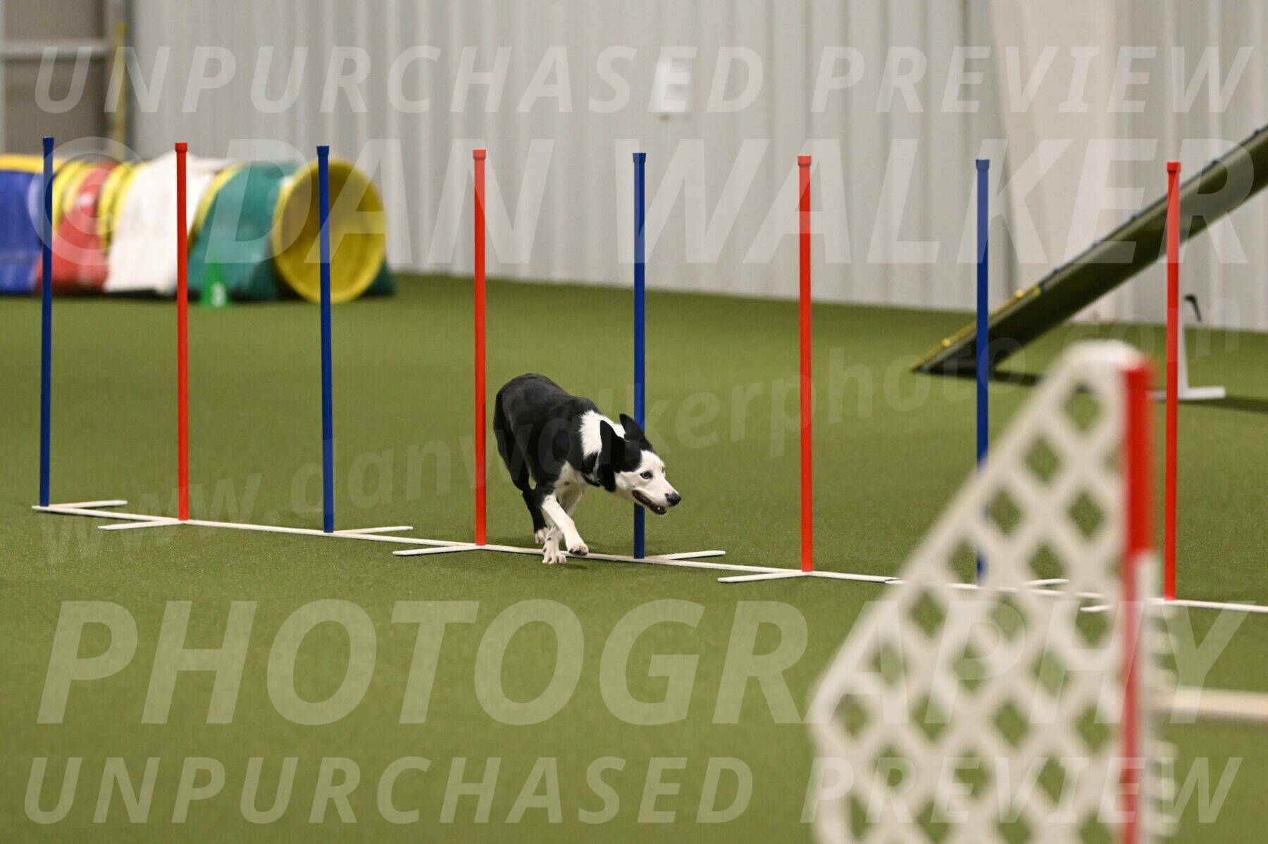 Ice-Jennifer-Walsh-07411