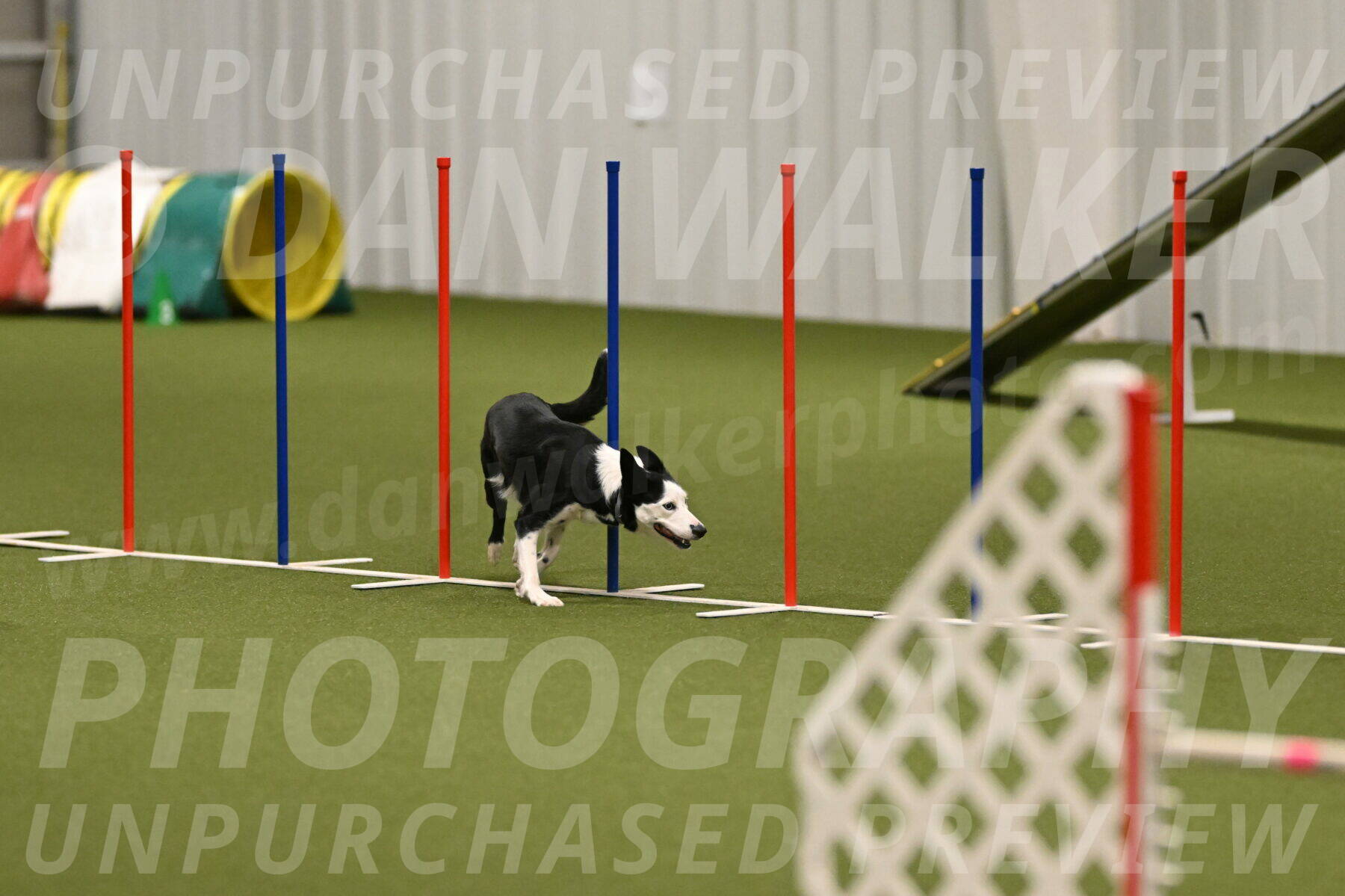 Ice-Jennifer-Walsh-07412