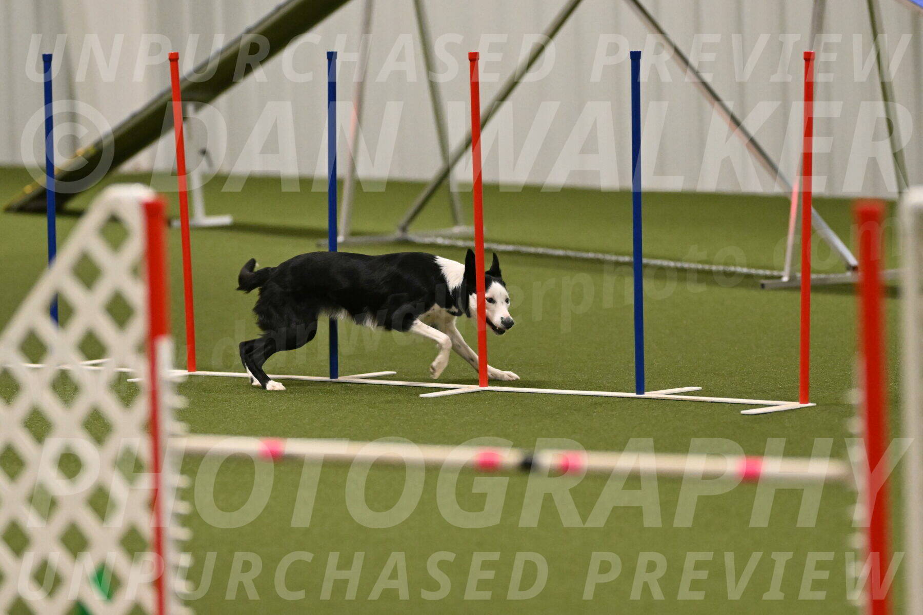 Ice-Jennifer-Walsh-07413