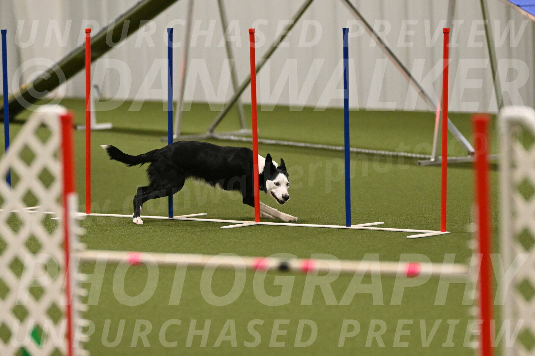 Ice-Jennifer-Walsh-07414