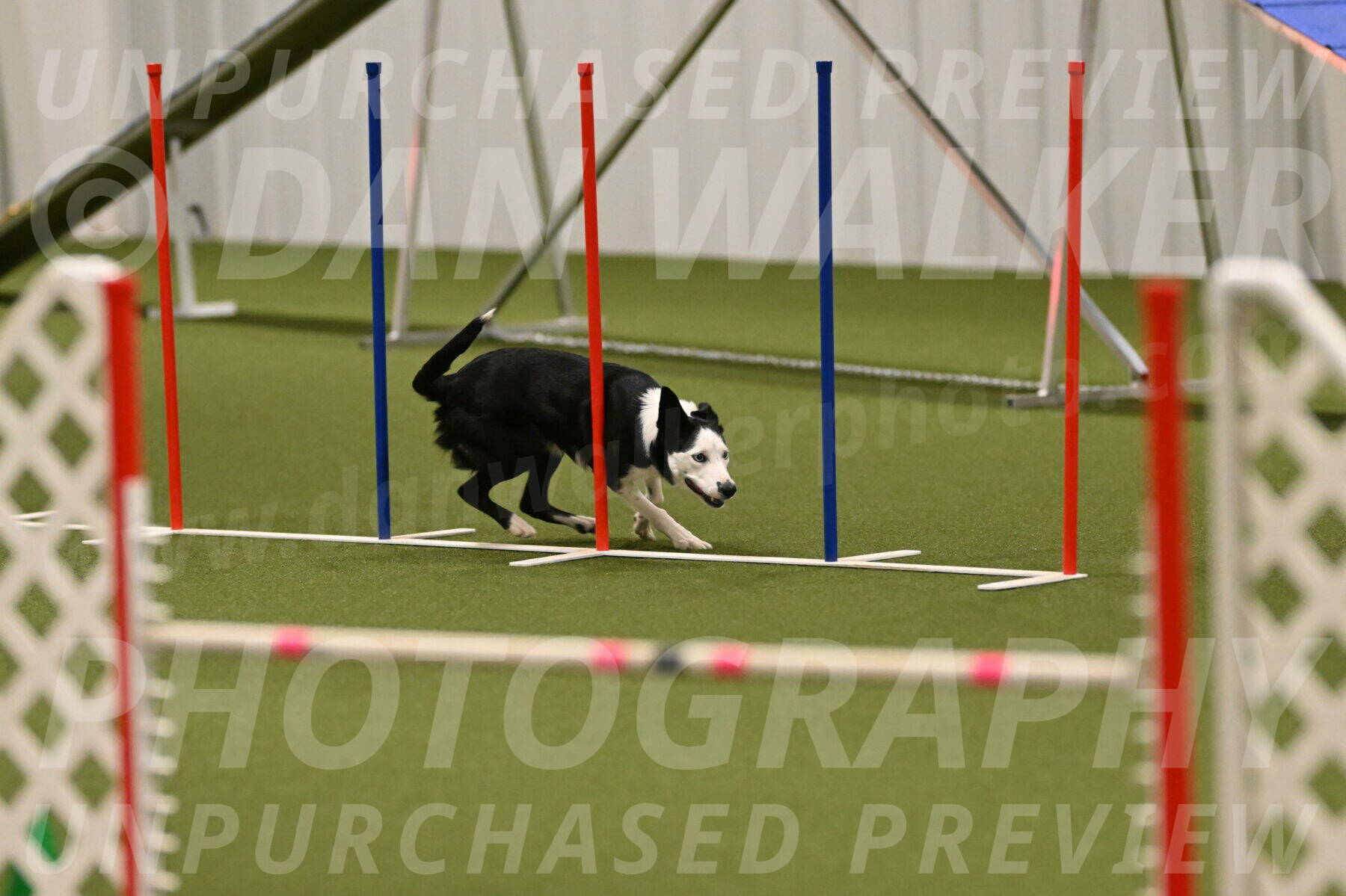 Ice-Jennifer-Walsh-07415