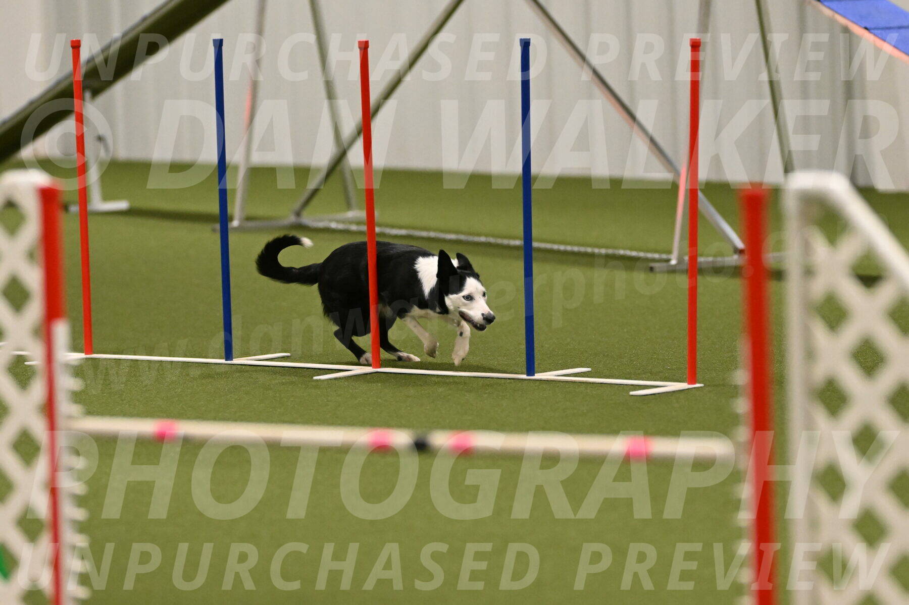 Ice-Jennifer-Walsh-07416