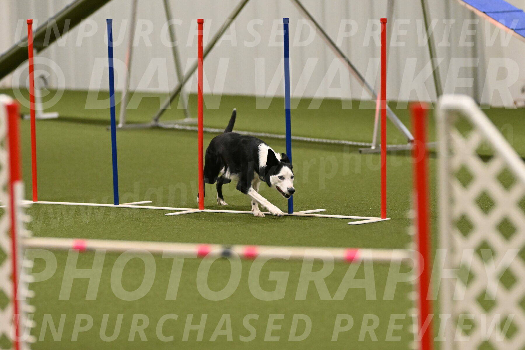 Ice-Jennifer-Walsh-07417