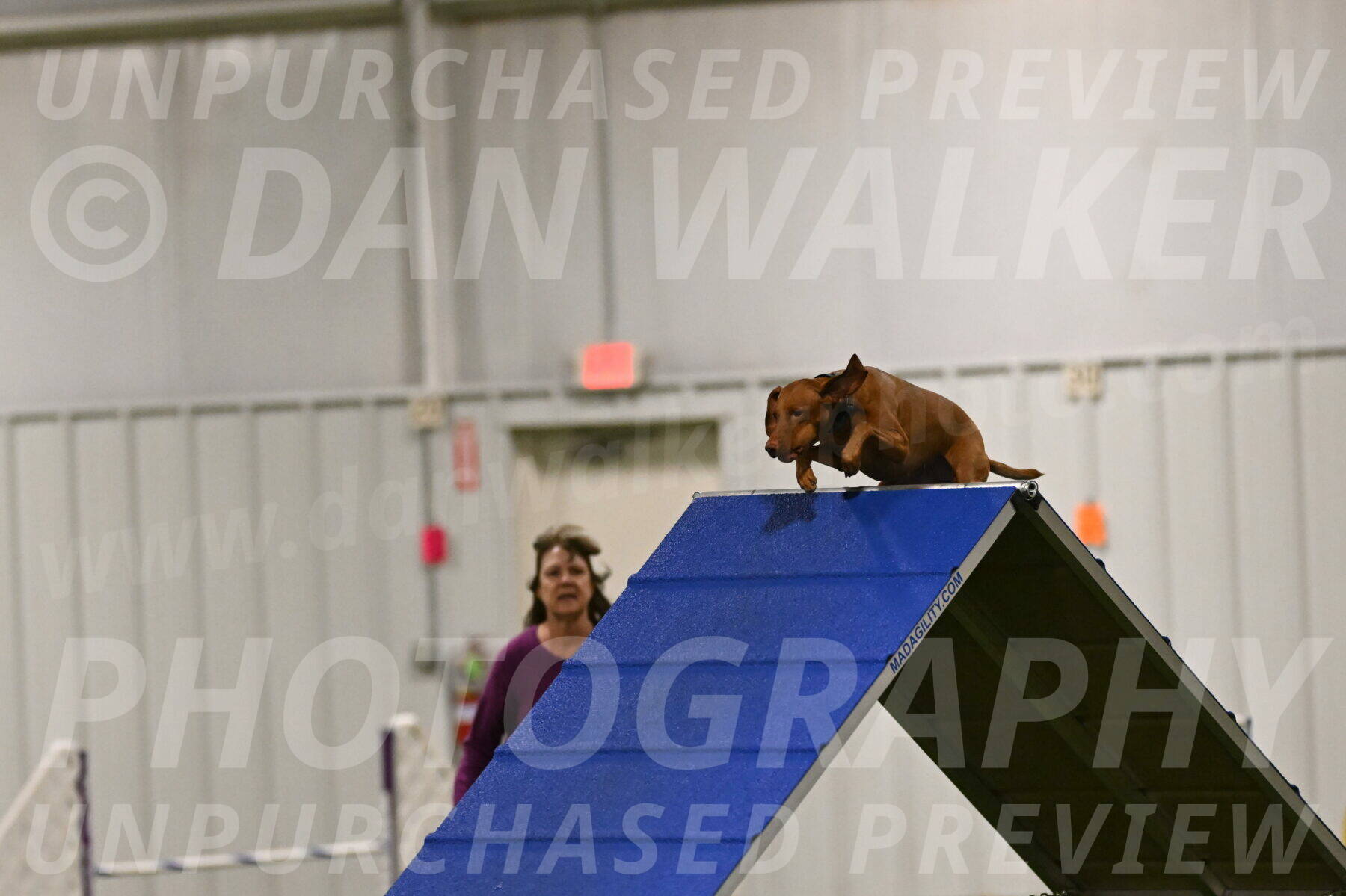 Indie-Jean-Bonness-02679