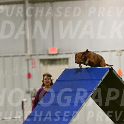 Indie-Jean-Bonness-02679