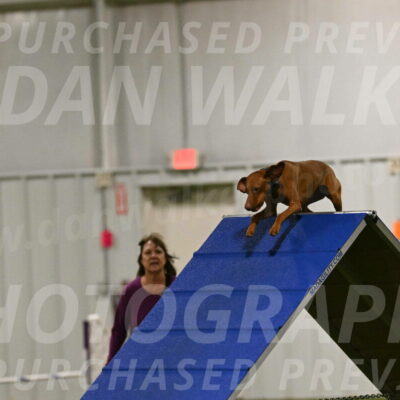 Indie-Jean-Bonness-02680