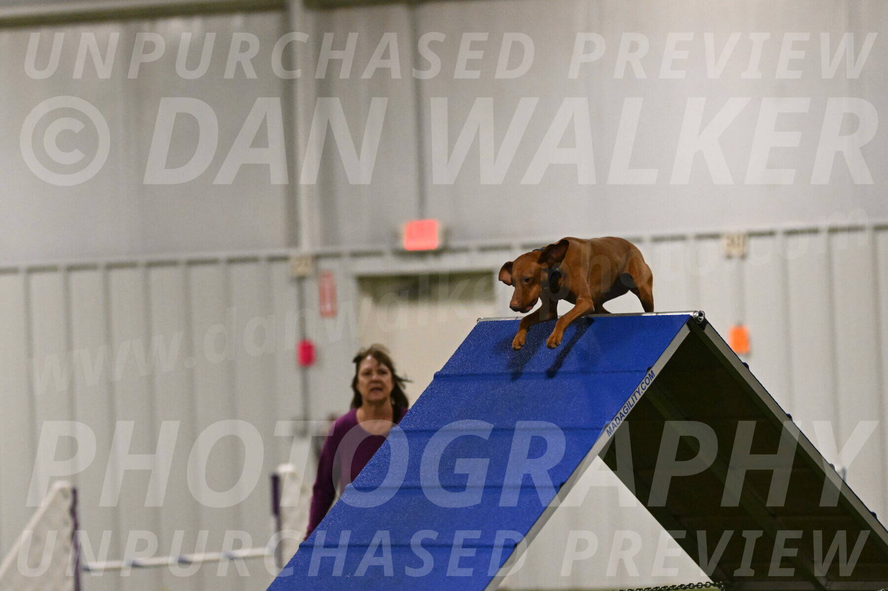 Indie-Jean-Bonness-02680