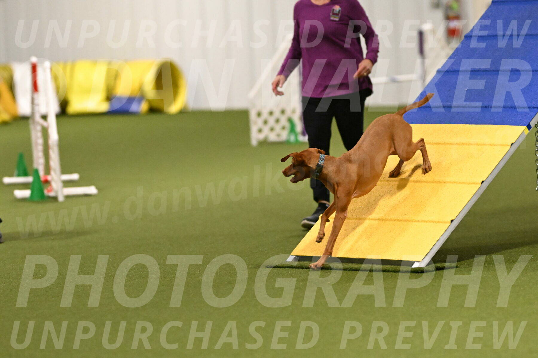 Indie-Jean-Bonness-02681