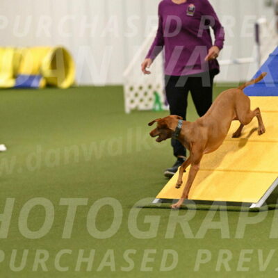 Indie-Jean-Bonness-02681