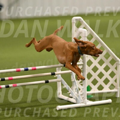 Indie-Jean-Bonness-02682