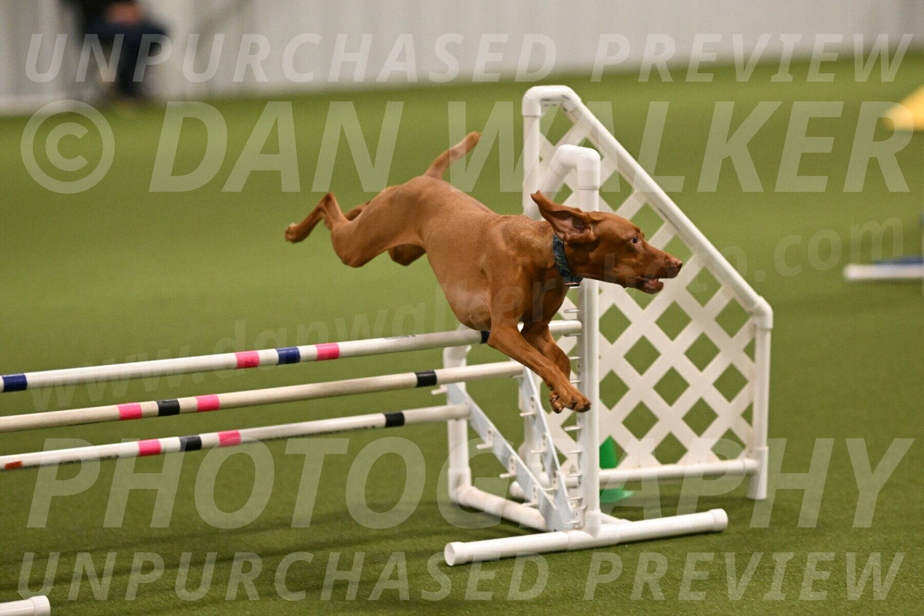 Indie-Jean-Bonness-02682