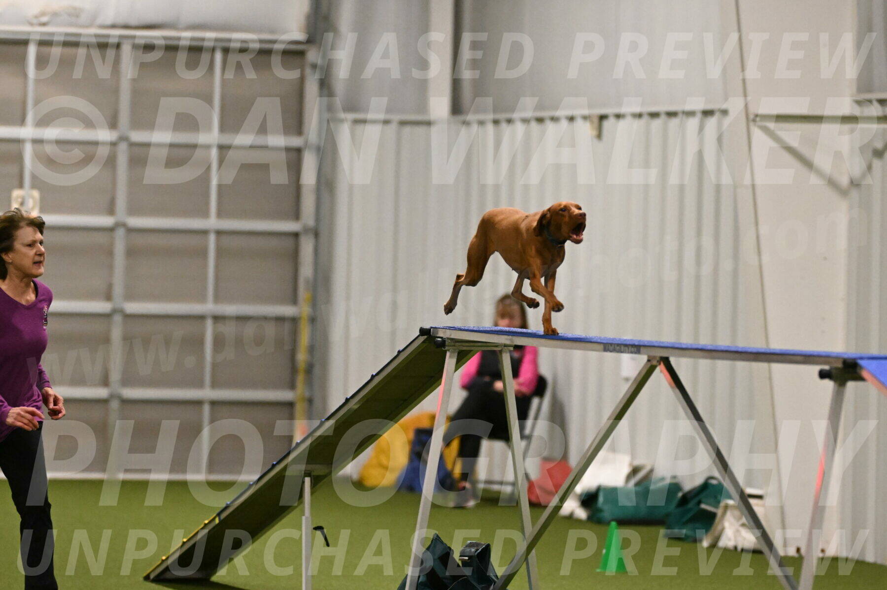 Indie-Jean-Bonness-02683