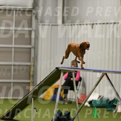 Indie-Jean-Bonness-02683