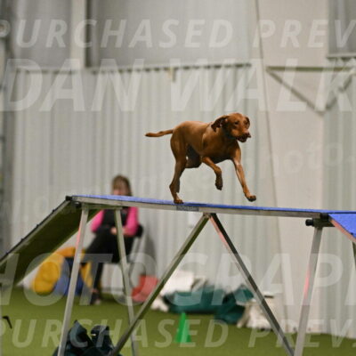 Indie-Jean-Bonness-02684