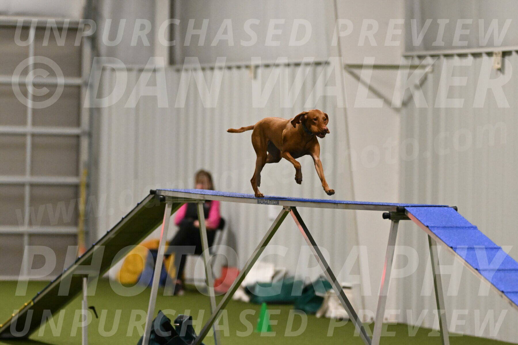 Indie-Jean-Bonness-02684