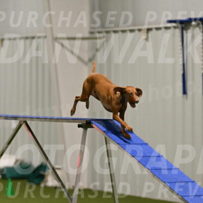 Indie-Jean-Bonness-02685