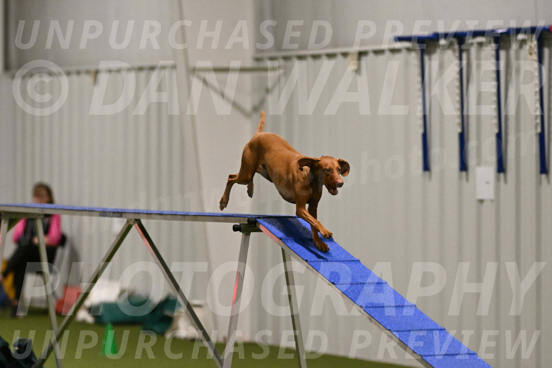 Indie-Jean-Bonness-02685