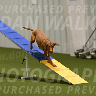 Indie-Jean-Bonness-02686