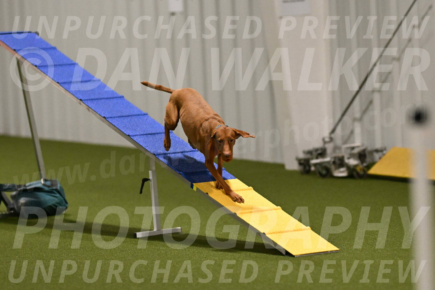 Indie-Jean-Bonness-02686