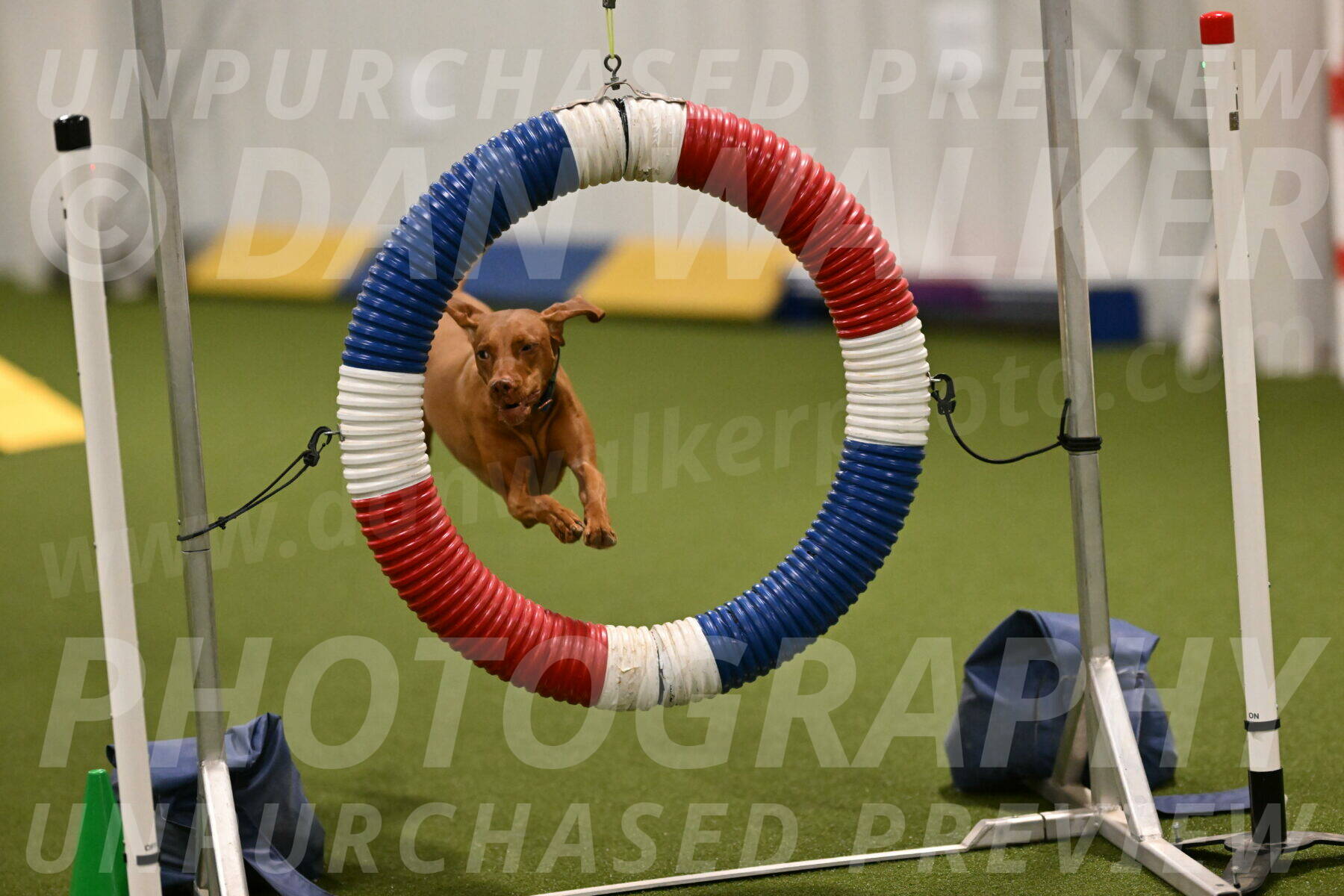 Indie-Jean-Bonness-02687