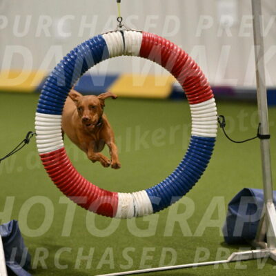 Indie-Jean-Bonness-02687