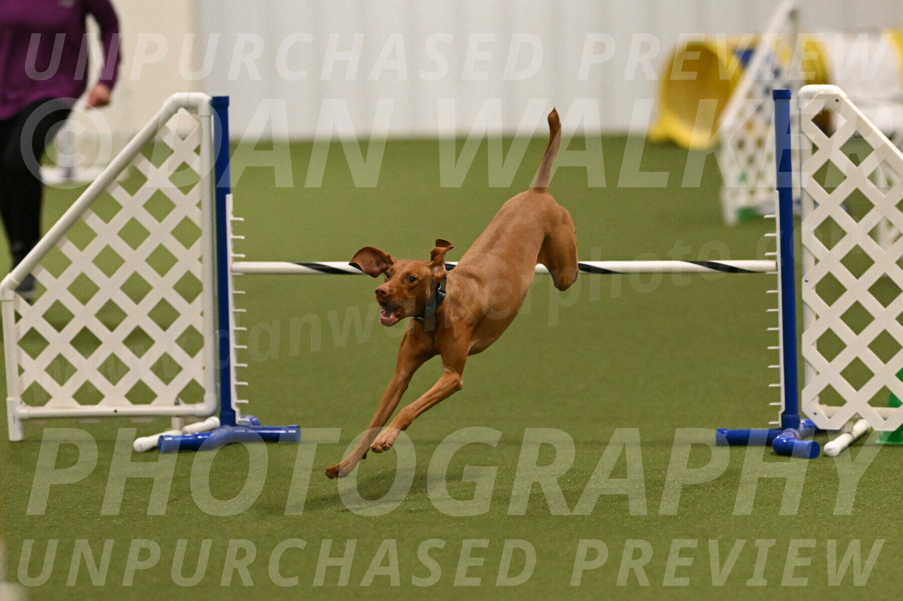 Indie-Jean-Bonness-02688