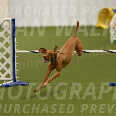 Indie-Jean-Bonness-02688