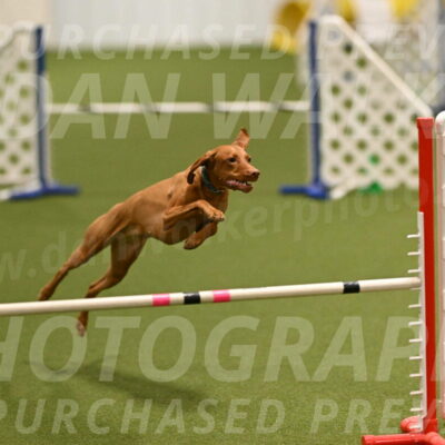 Indie-Jean-Bonness-02689