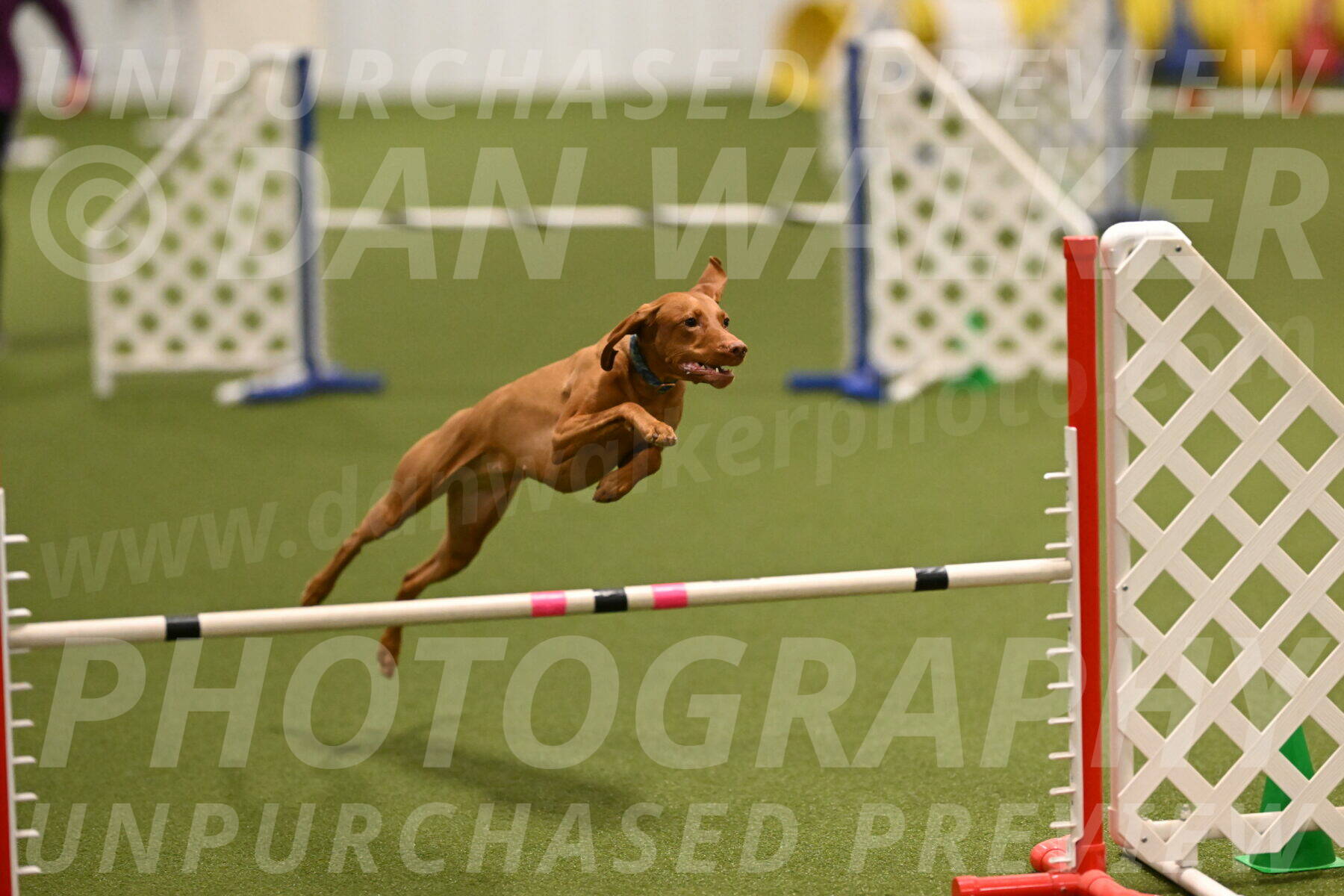 Indie-Jean-Bonness-02689