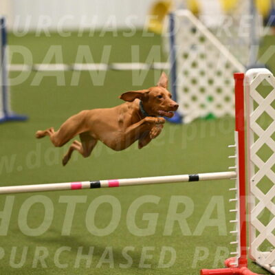 Indie-Jean-Bonness-02690